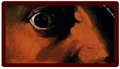 Reflections on Fear 2!